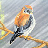 A spray paint and acrylic painting of a bird on a branch